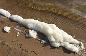 Tyco Submits to the Wisconsin DNR PFAS Results for Foam in Ditches.