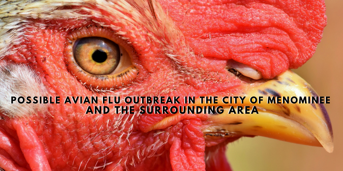 Avian Flu (Bird Flu) Outbreak in the City of Menominee and the surrounding area